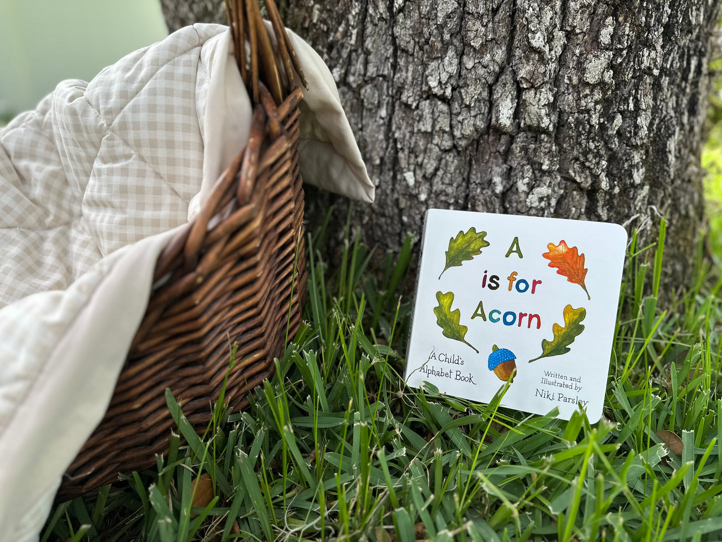 A is for Acorn: A Child's Alphabet Book