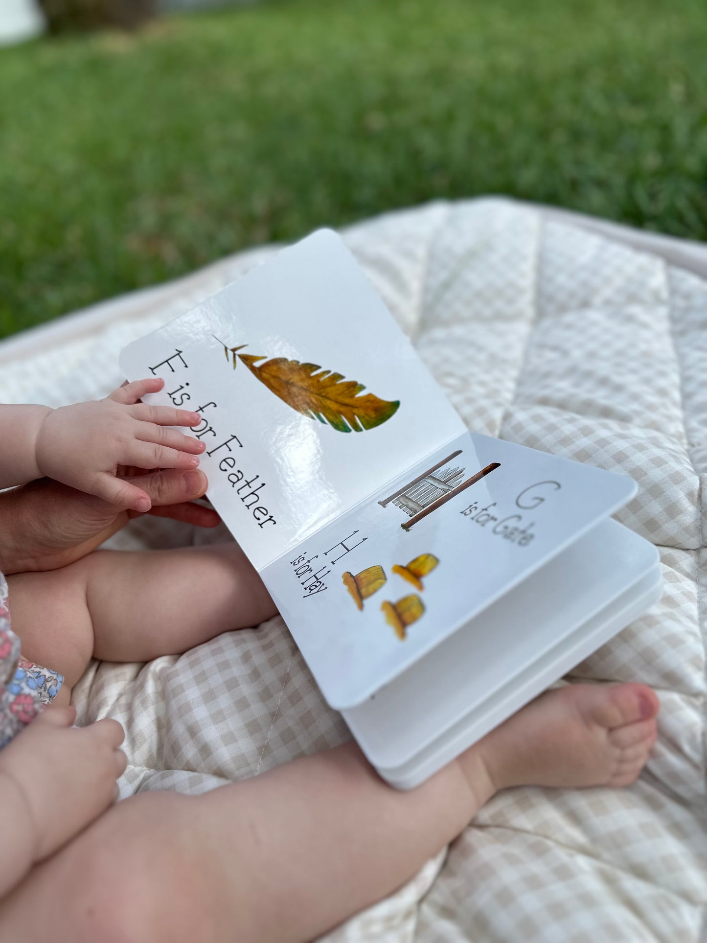 A is for Acorn: A Child's Alphabet Book