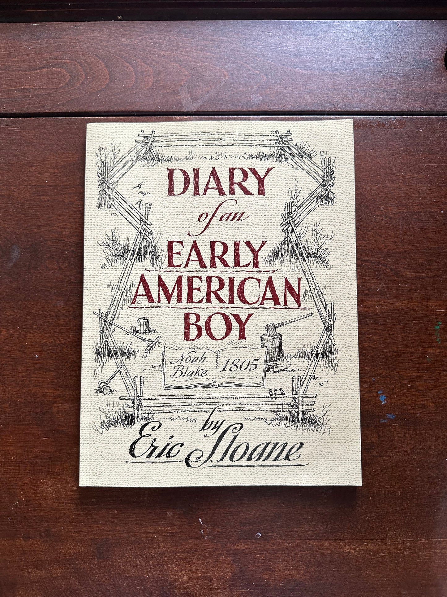 Diary of an Early American Boy