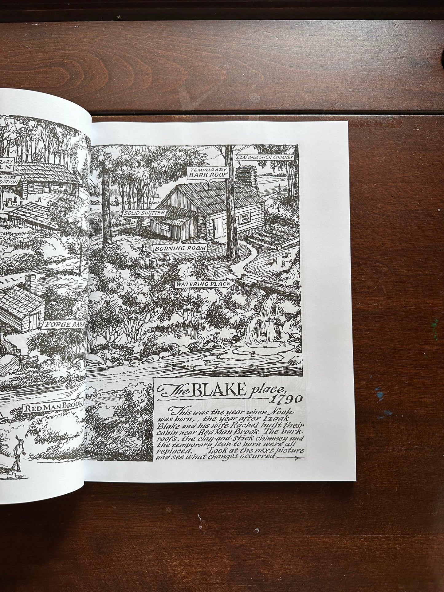 Diary of an Early American Boy