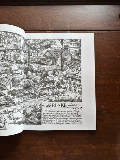 Diary of an Early American Boy