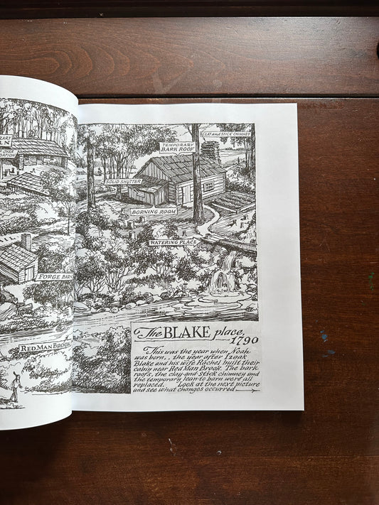 Diary of an Early American Boy