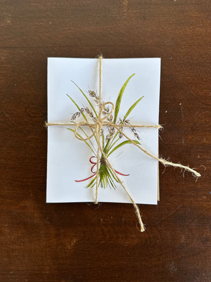 Original Heirloom Card Collection
