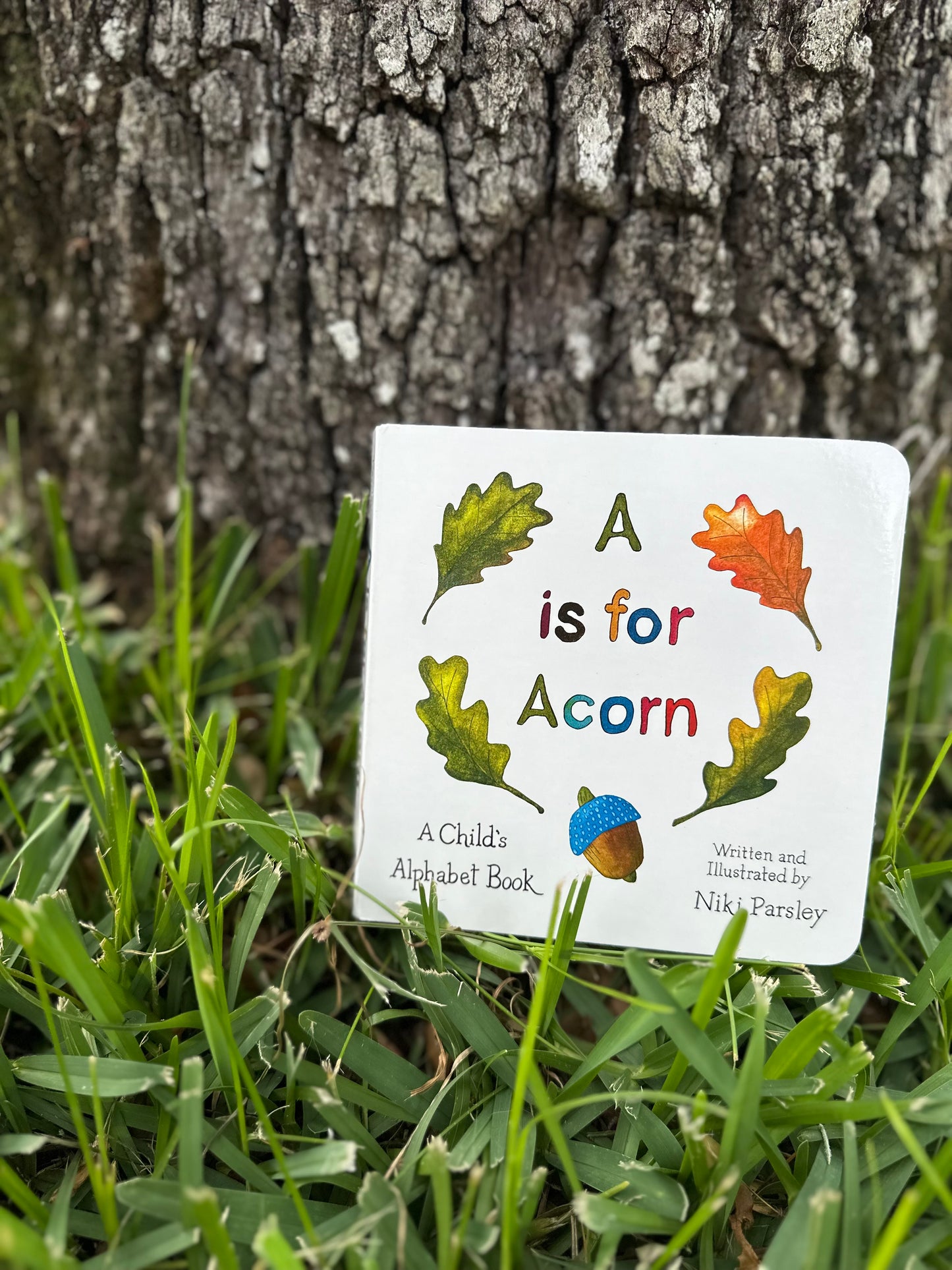 A is for Acorn: A Child's Alphabet Book