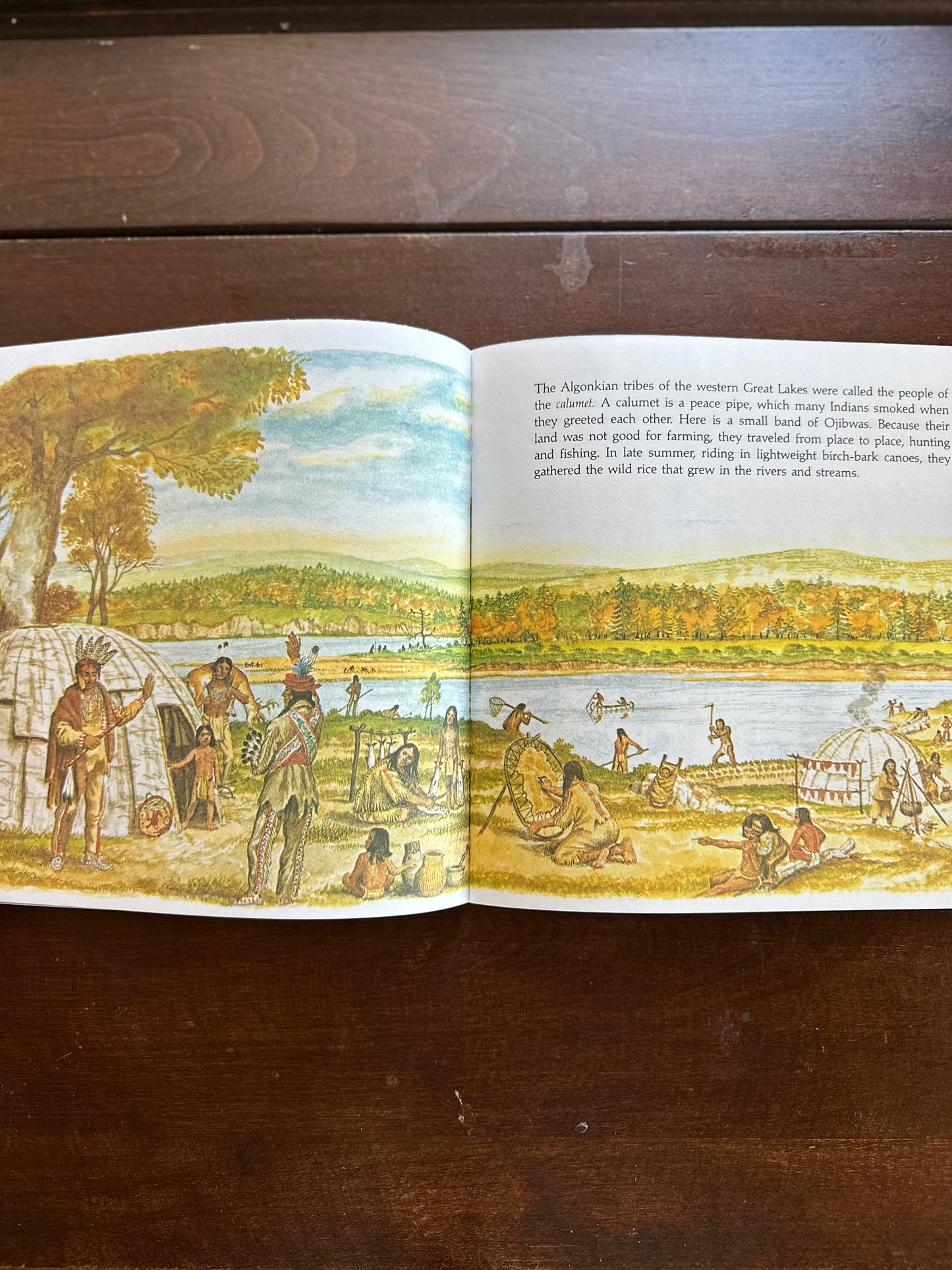 North American Indians